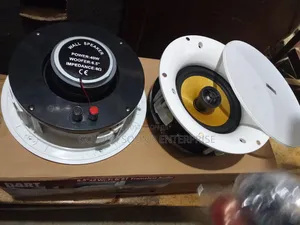 Dart Wi-Fi Bluetooth Celling Speaker