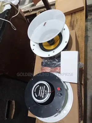 Dart Wi-Fi Bluetooth Celling Speaker