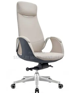 Luxurious Manager Swivel Chair