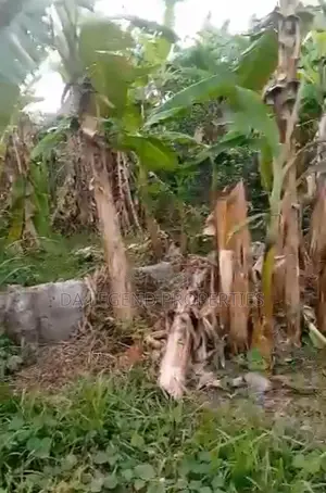 One Plot of Land for Sale