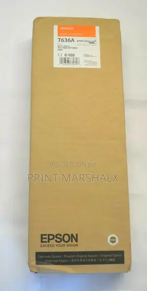 Epson T636a Orange Ink 700ml for Stylus Pro