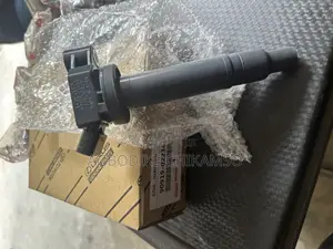 Ignition Coils For All Kinds Of Engine Available