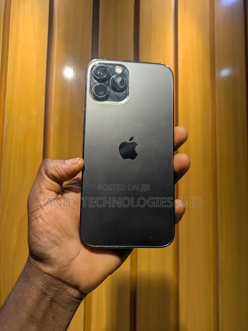 Apple iPhone 12 Pro Max 128 GB Gray