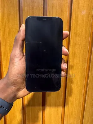 Apple iPhone 12 Pro Max 128 GB Gray