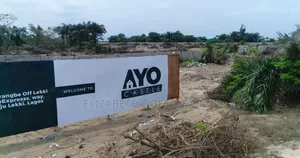 C of O Land Along Lekki Epe Expressway, Ibeju Lekki