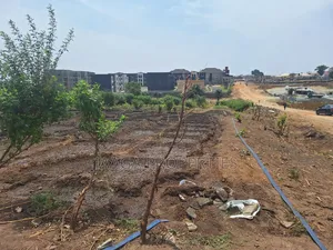 Sweet Residential Plot in Dape for Distress Sale