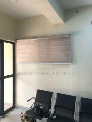 Window Blinds