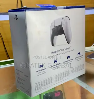 Playstation Ps5 Pad