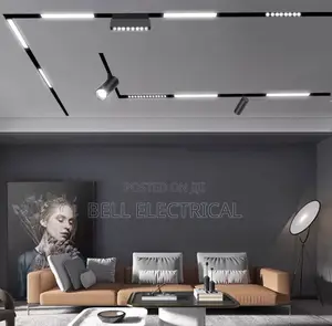 Complete Set of Magnetic Profile Light