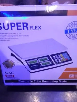 Digital Electronic Scale