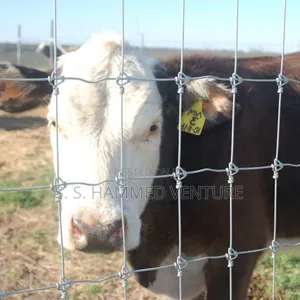 Cattle Fencing Wires Mesh (Hot Dip Gavalnized Mesh Wires)