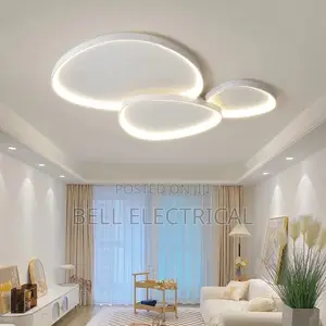 Ultrathin Black White Ceiling Light