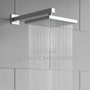 Chrome Wall Mounted Pole and Shower Rose