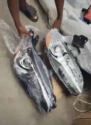 Carly 2015 Headlamp Black and White Face Available