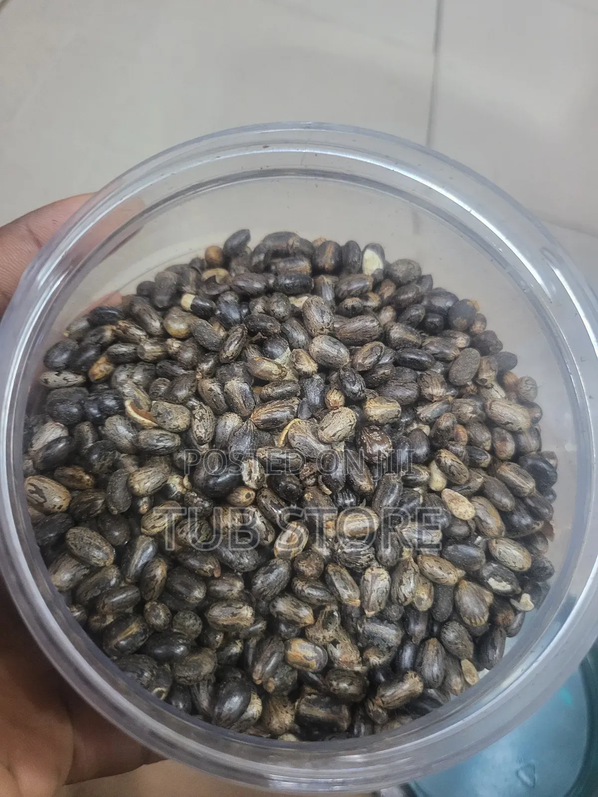 Natural Contraceptive Seed
