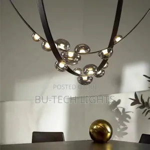Artistic and Modern Chandelier