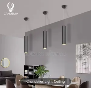 Single Drop Light for Reception and Waiting Space