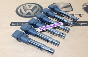 Touareg Coil V6
