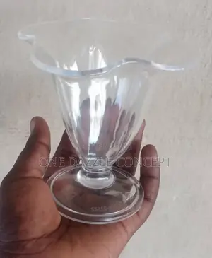 Acrylic Ice Cream Cup