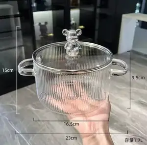 Transparent Pot