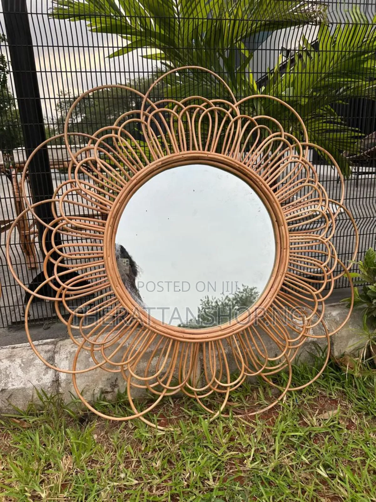 Hand Woven, Cane Crafted Wall Accent Mirrors