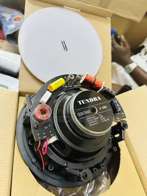 80watts Framless Ceiling Speakers