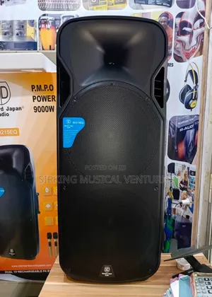 Double Pa System 15inches 9000w