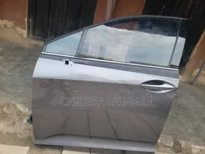 Lexus Rx350 2022 Model Front Door Left Side
