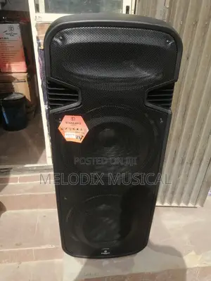 Standard Japan 2"15 Inch Portable Party Speaker Sd65-15ac