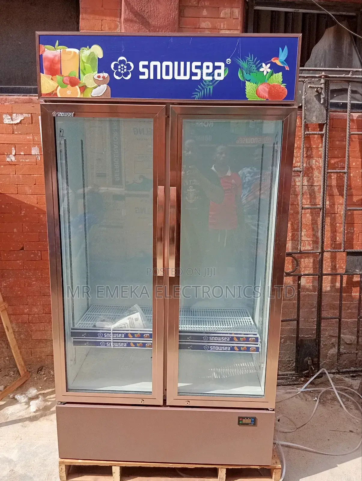 Snow Sea Double Door Showcase