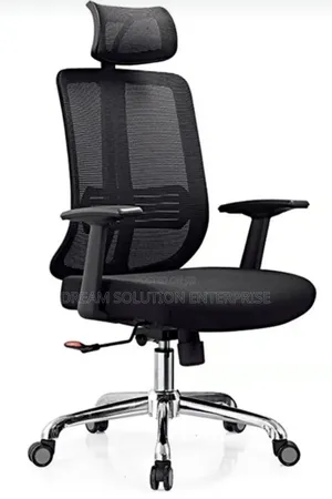 Ergonomic Executive Chair With Headrest