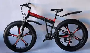 New Arrival Best Quality Alloyed Tyre Bicycle