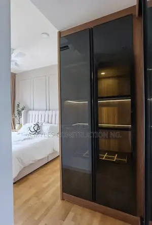 Walldrobe Mirror Usa