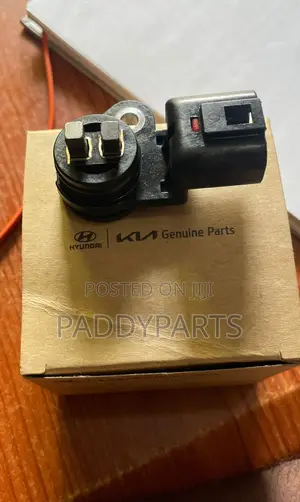 Hyundai Santa Fe Camshaft Sensor 24360-2ggd0 (2019-2021)