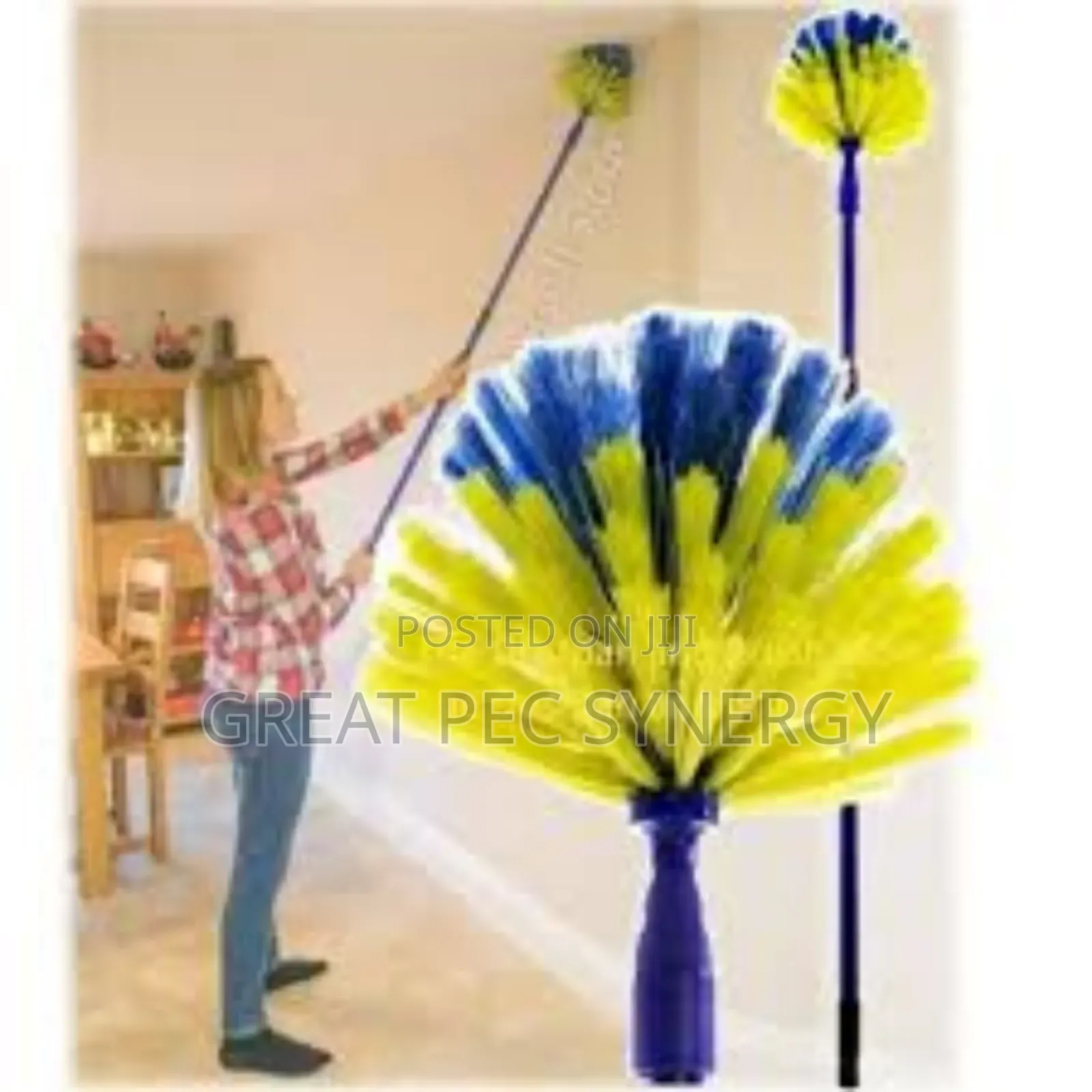 Cobweb Brush and Ceiling Cleaner