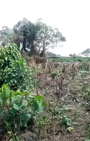 More Than 100plots of Land for Sale