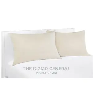 Breathewell 100% Organic Pillows, Asthma and Allergy Friendly (2 Pack)