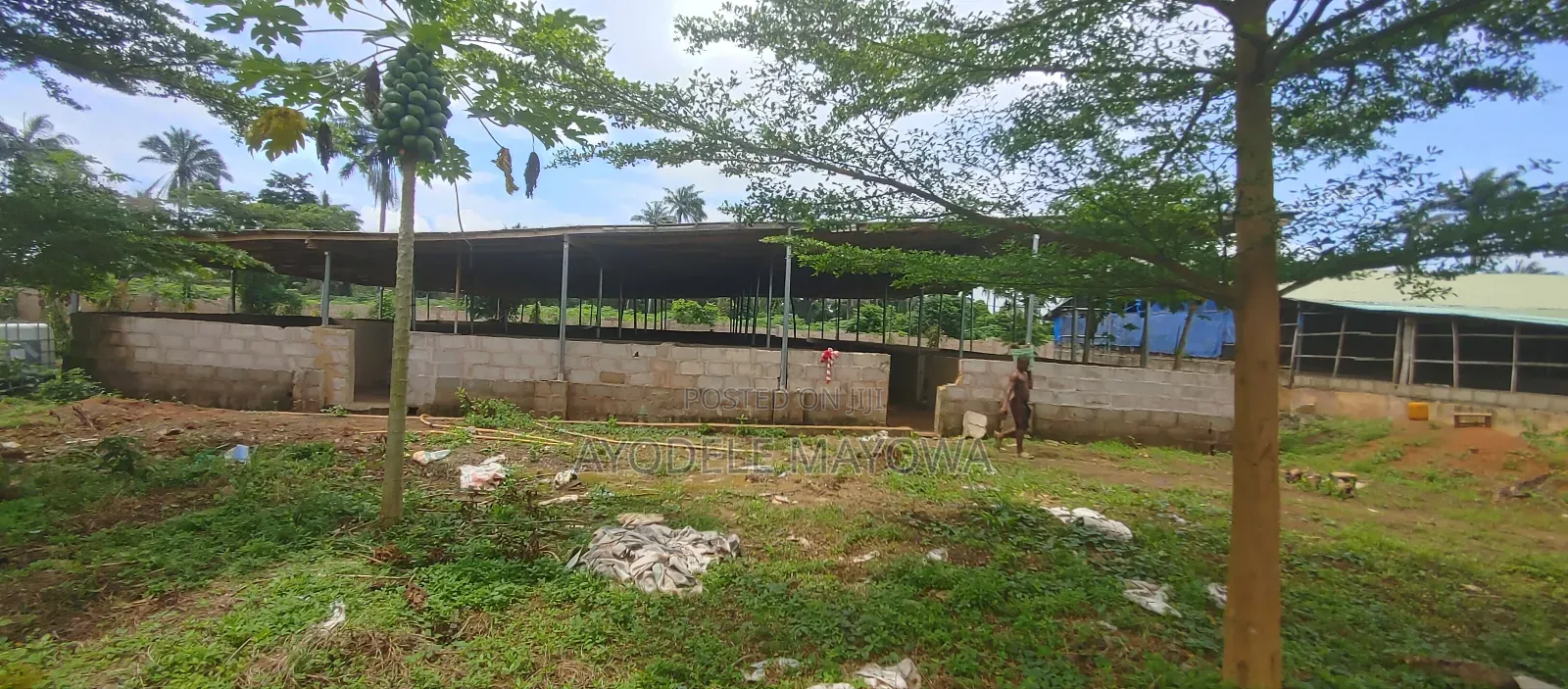 Piggery Pen