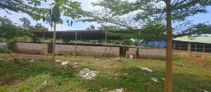Piggery Pen