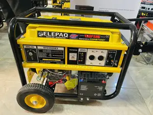 12kva Elepaq Constant Generator Sv22000e2