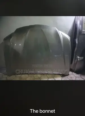 Bonnet Lx570 2020