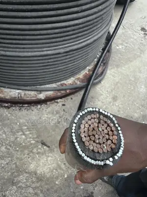 1cx500mm Armored Cables