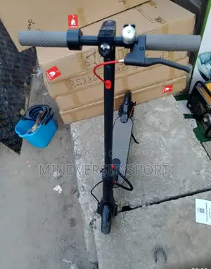 Adult Electric Scooter