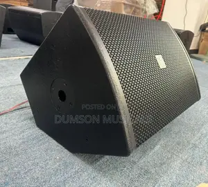 Steck Audio 12 Inches Hanging Speaker/Floor Monitor