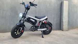Photo - Electric Bike