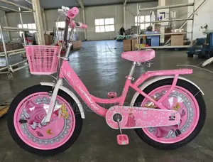 20inches Lite Smart Pink Bicycle
