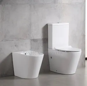 Master Wc With Suspended Basin