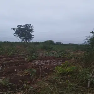 Plots Of Land