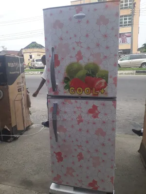 Inverter Respoint Standing Fridge