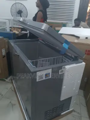 Affordable High Quality 300l Chest Freezer Scanfrost
